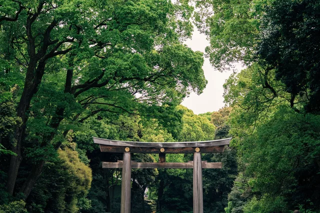 Ise-Shima au fil des saisons - quand marcher devient un pèlerinage intérieur