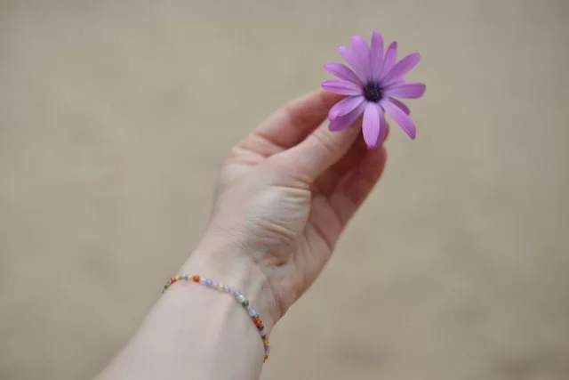 Le lotier corniculé, la petite fleur qui invite au repos